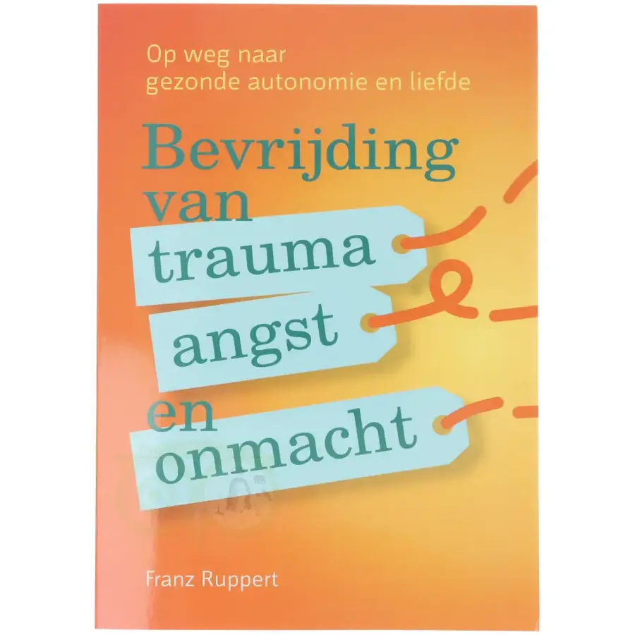 Bevrijding van trauma, angst en onmacht - Franz Ruppert-3