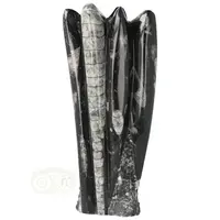 thumb-Orthoceras sculptuur Nr 35 - 1295 gram-2