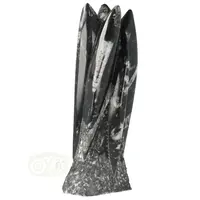 thumb-Orthoceras sculptuur Nr 37 - 1714 gram-6