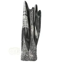 thumb-Orthoceras sculptuur Nr 38 - 2001 gram-1