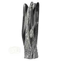 thumb-Orthoceras sculptuur Nr 38 - 2001 gram-5