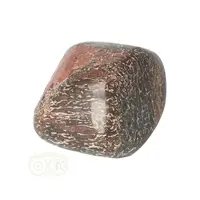 thumb-Atlasaurus bot Nr 5 - 65 gram - Marokko-2