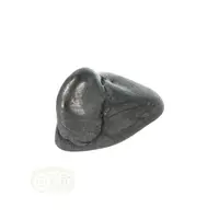 thumb-Shungiet trommelsteen Nr 34 - 18 gram-3