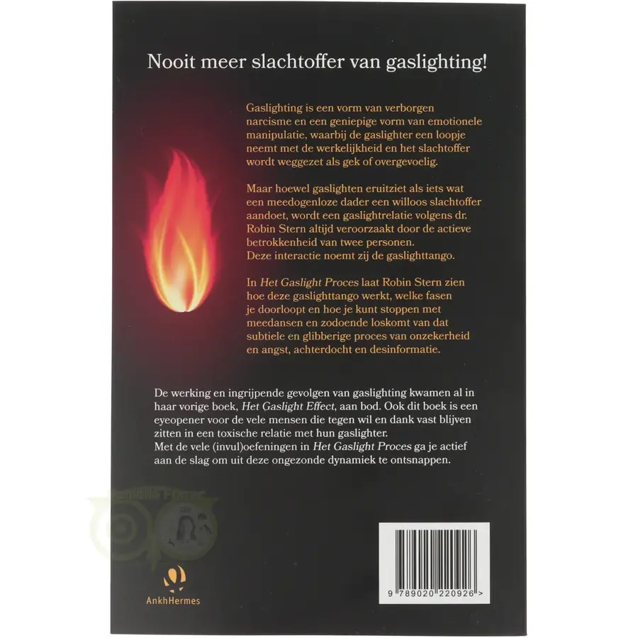 Het gaslichtproces - Dr. Robin Stern-4