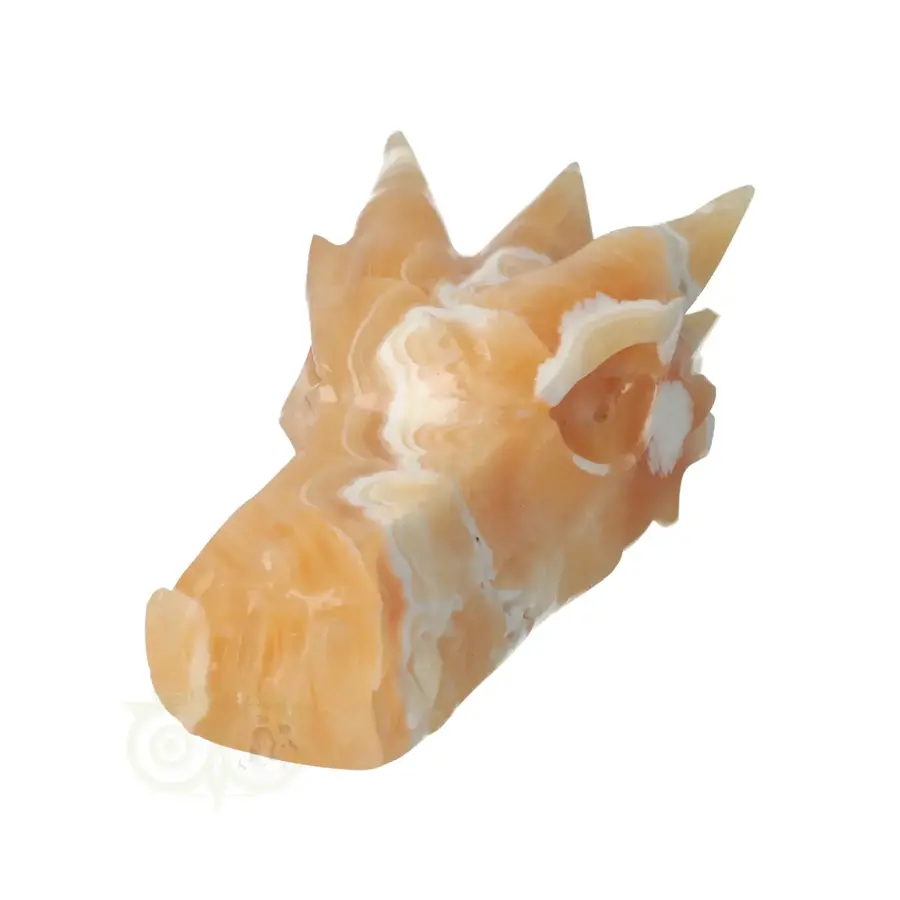 Calciet draken schedel Nr 288 - 563 gram-4