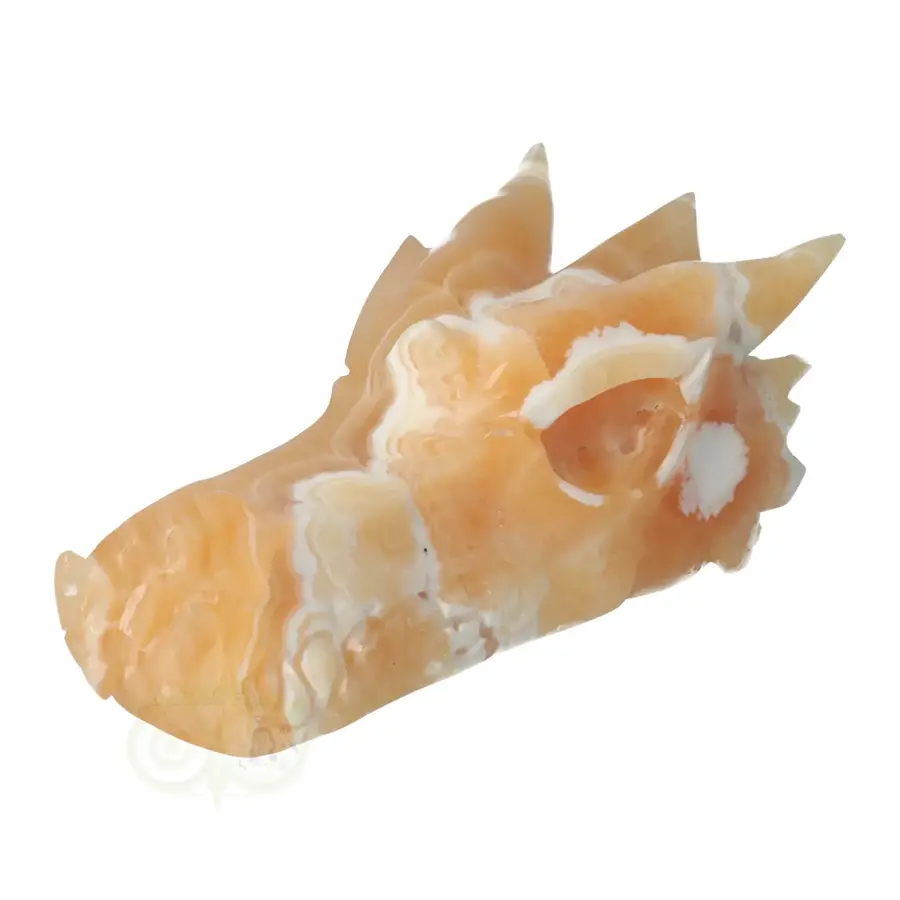 Calciet draken schedel Nr 288 - 563 gram-5