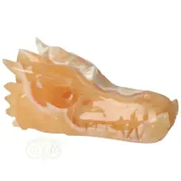 thumb-Calciet draken schedel Nr 288 - 563 gram-9
