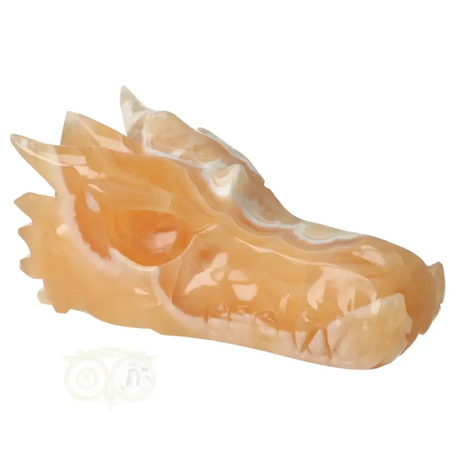 Calciet draken schedel Nr 288 - 563 gram-10