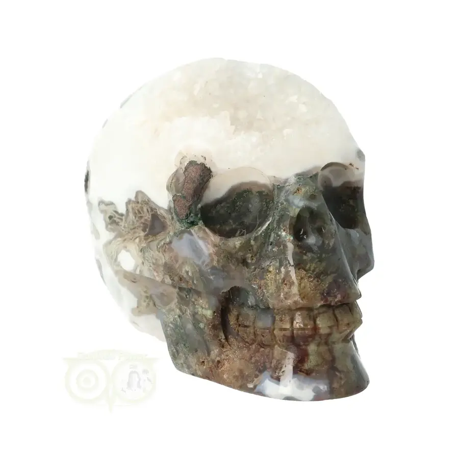 Mosagaat - Bergkristal geode schedel Nr 270 - 637 gram-1