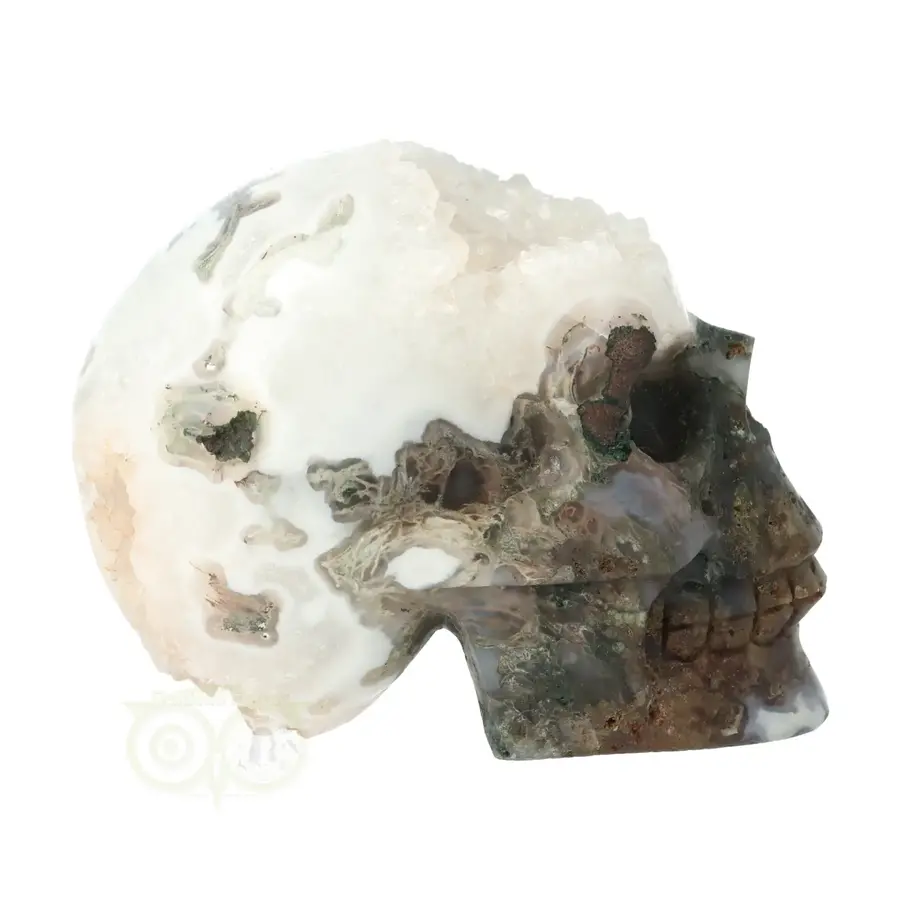 Mosagaat - Bergkristal geode schedel Nr 270 - 637 gram-8