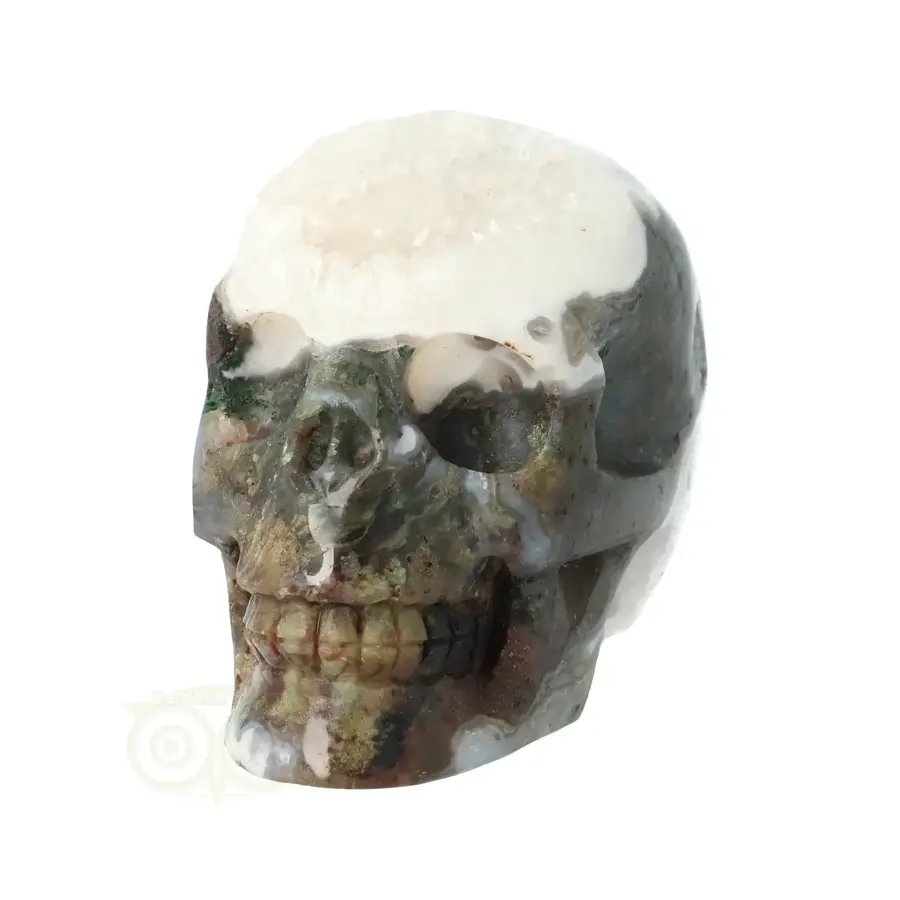 Mosagaat - Bergkristal geode schedel Nr 270 - 637 gram-4