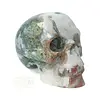 Mosagaat - Bergkristal geode schedel 742 gram