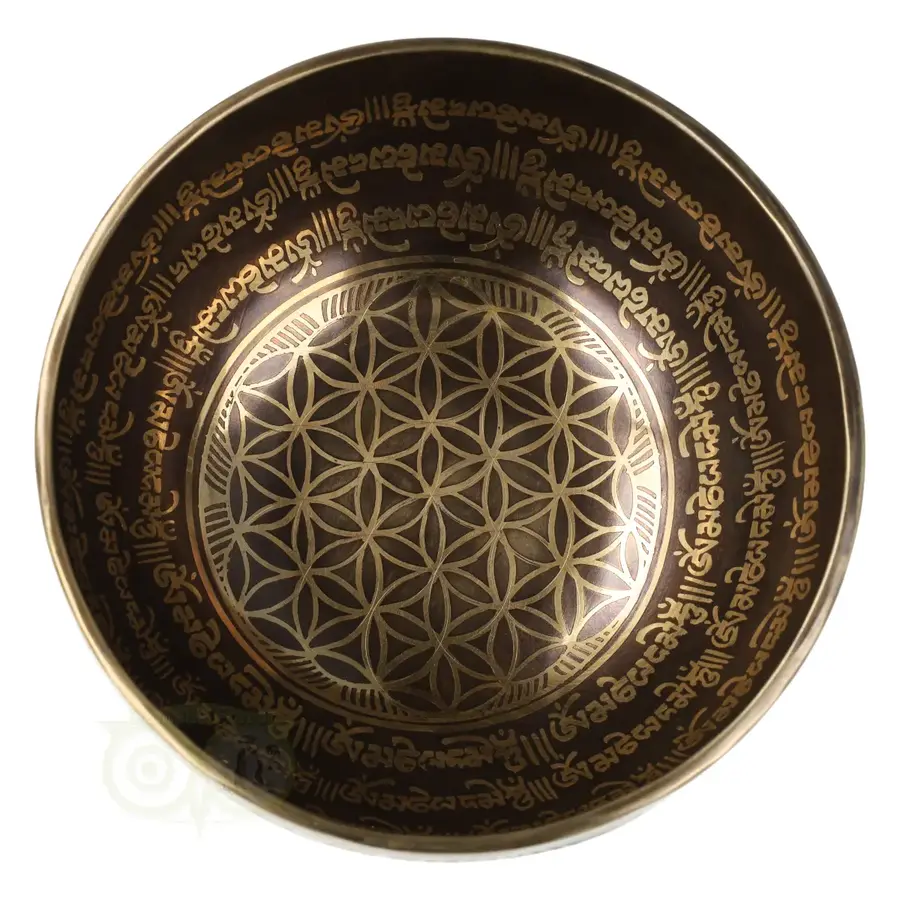 Klankschaal 'Flower of Life' Nr 43 - 998 gram-3