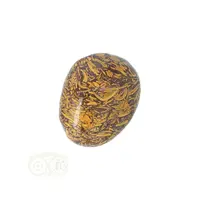 thumb-Coquina Jaspis trommelsteen Nr 15 - 27 gram-5