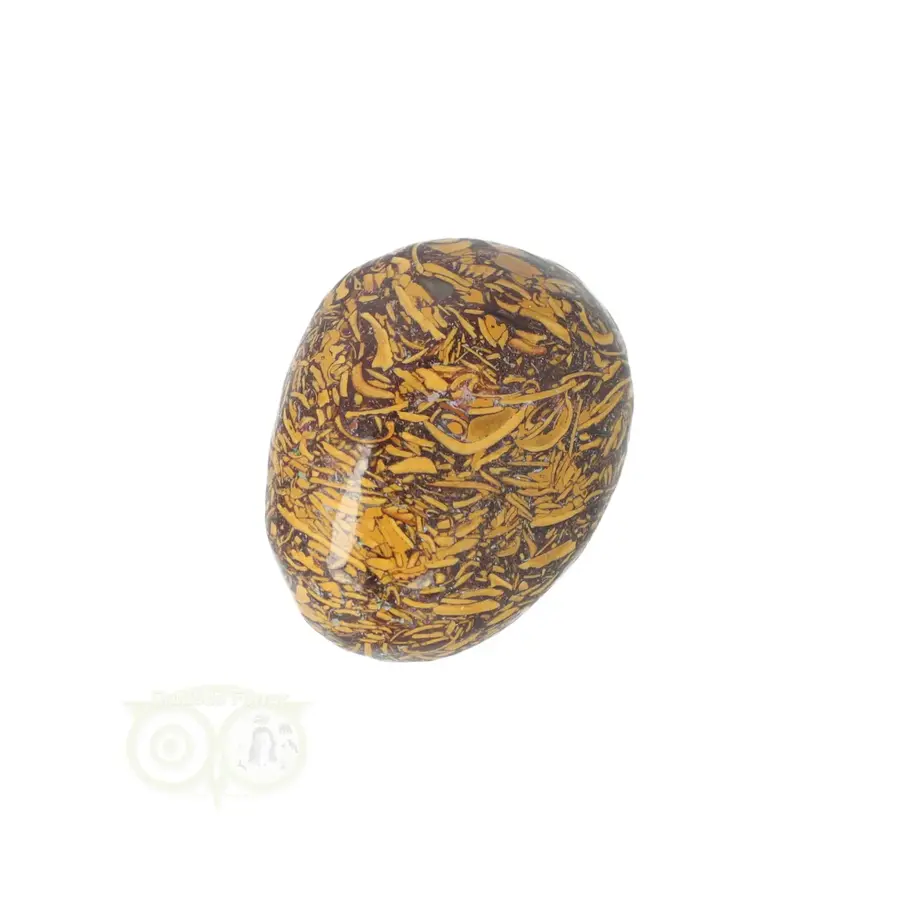 Coquina Jaspis trommelsteen Nr 15 - 27 gram-5