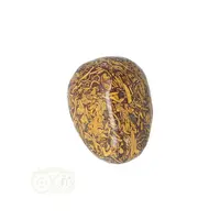 thumb-Coquina Jaspis trommelsteen Nr 15 - 27 gram-7