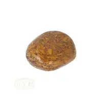 thumb-Coquina Jaspis trommelsteen Nr 16 - 16 gram-8