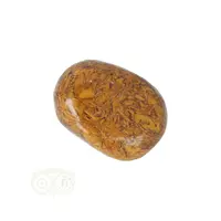 thumb-Coquina Jaspis trommelsteen Nr 16 - 16 gram-9