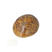 thumb-Coquina Jaspis trommelsteen Nr 16 - 16 gram-3