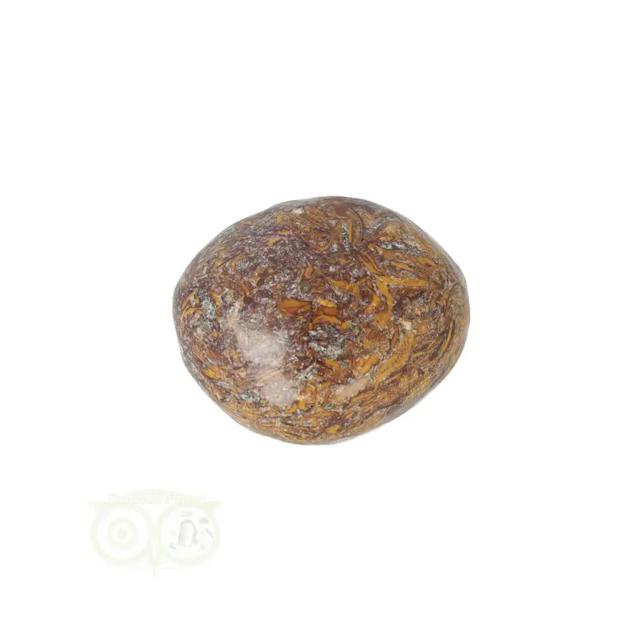 Coquina Jaspis trommelsteen Nr 17 - 16 gram-2