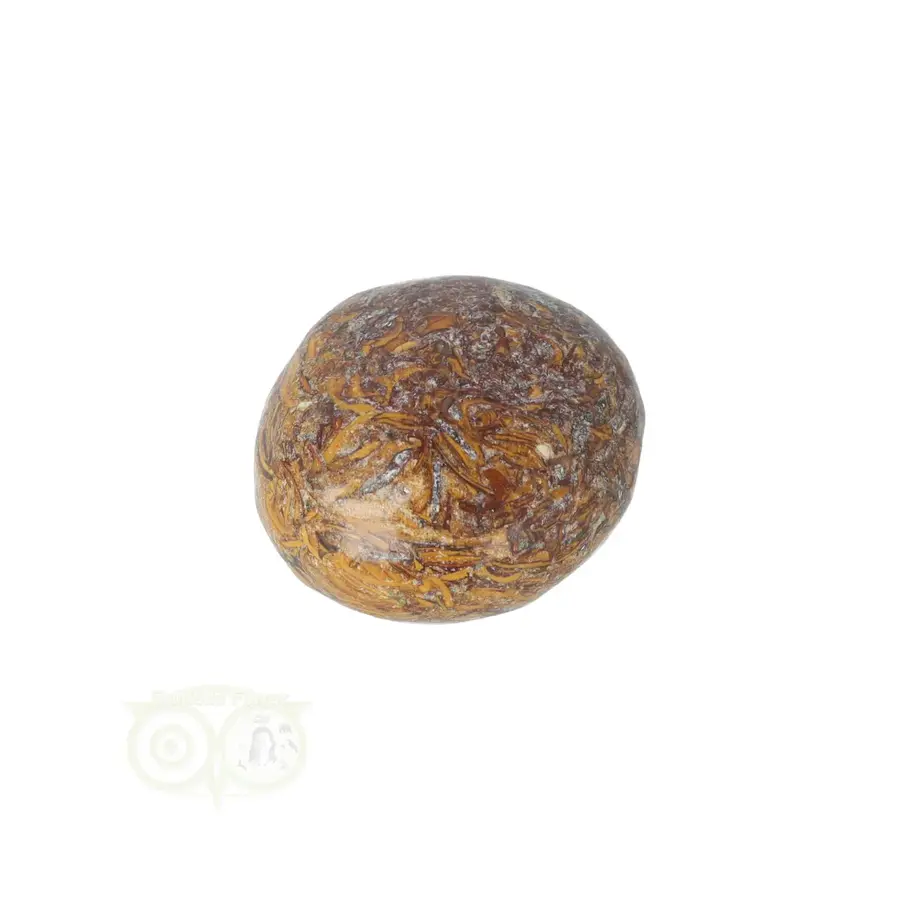 Coquina Jaspis trommelsteen Nr 17 - 16 gram-9