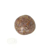 thumb-Coquina Jaspis trommelsteen Nr 17 - 16 gram-7