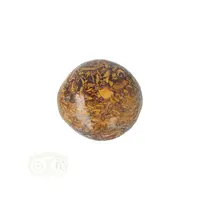 thumb-Coquina Jaspis trommelsteen Nr 17 - 16 gram-1