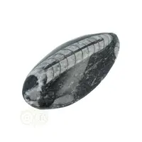 thumb-Orthoceras Fossiel geslepen Nr 28 - 45 gram-5