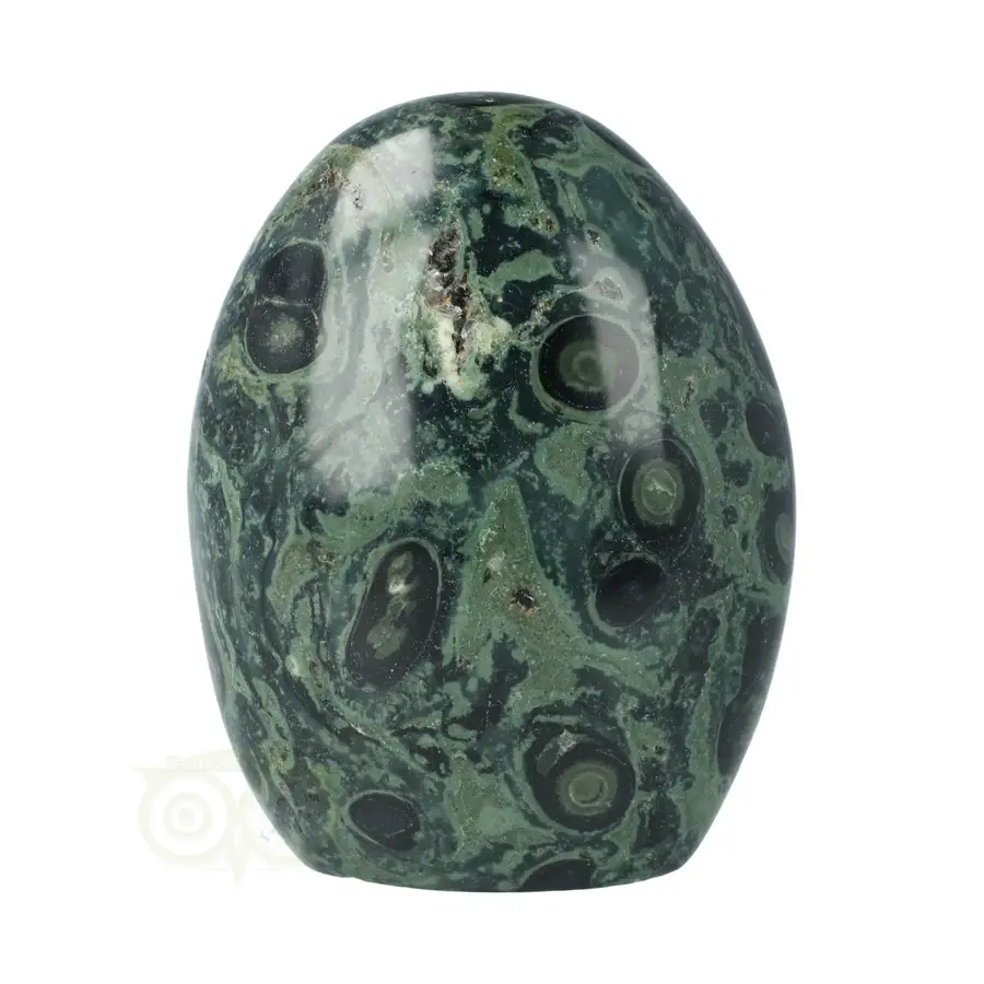 Eldariet ( Jaspis kambaba ) Sculptuur Nr 8 - 607 gram-2