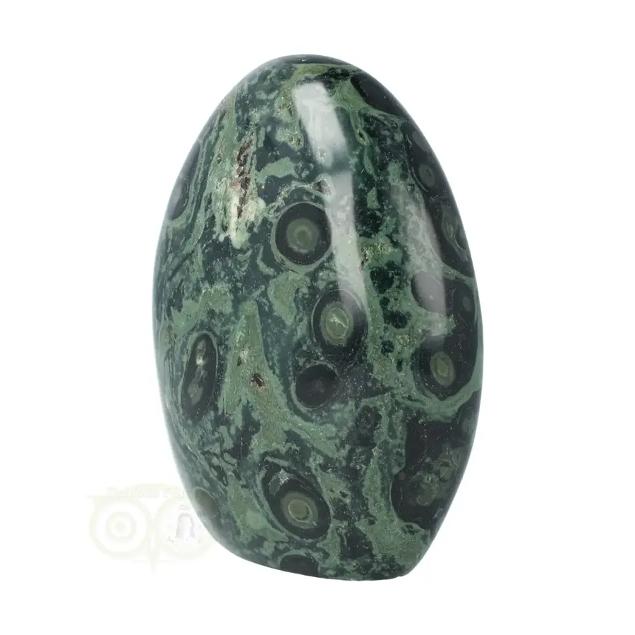 Eldariet ( Jaspis kambaba ) Sculptuur Nr 8 - 607 gram-3