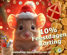 10% Feestdagenkorting | Edelstenen Webwinkel - Webshop Danielle Forrer