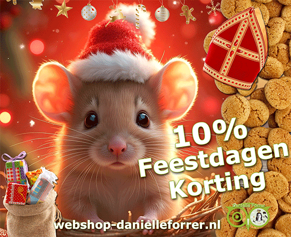 10% FEESTDAGENKORTING*