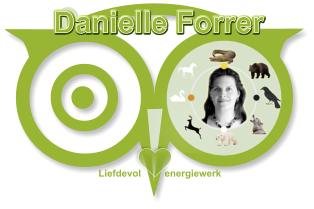 Edelstenen Webwinkel - Webshop Danielle Forrer