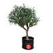 Barrelkings Personaliseer de Barrel met een sticker Barrelkings Personaliseer de Barrel met een sticker