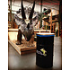 The Binbin BinBin Handle 120 Liter waste bin oildrum with handle lid The Binbin BinBin Handle 120 Liter waste bin oildrum with handle lid