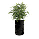 Barrelkings Barrel planter, Flowerbox 60 Liter metal oildrum Barrelkings Barrel planter, Flowerbox 60 Liter metal oildrum