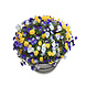 Barrelkings Barrel planter, Flowerbox 60 Liter metal oildrum Barrelkings Barrel planter, Flowerbox 60 Liter metal oildrum