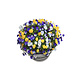 Barrelkings Industrieel metalen plantenbak 120 L olievat zwart Barrelkings Industrieel metalen plantenbak 120 L olievat zwart