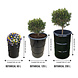 Barrelkings Barrel planter, Flowerbox 60 Liter metal oildrum Barrelkings Barrel planter, Flowerbox 60 Liter metal oildrum