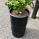 Barrelkings Industrieel metalen plantenbak 120 L olievat zwart Barrelkings Industrieel metalen plantenbak 120 L olievat zwart