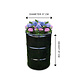 Barrelkings Barrel planter, Flowerbox 200 L oildrum with grout tub Barrelkings Barrel planter, Flowerbox 200 L oildrum with grout tub