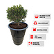 Barrelkings Industrieel metalen plantenbak 120 L olievat zwart Barrelkings Industrieel metalen plantenbak 120 L olievat zwart