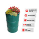 Barrelkings Barrel planter, Flowerbox 200 L Red oildrum with grout tub Barrelkings Barrel planter, Flowerbox 200 L Red oildrum with grout tub