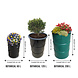 Barrelkings Barrel planter, Flowerbox 200 L Red oildrum with grout tub Barrelkings Barrel planter, Flowerbox 200 L Red oildrum with grout tub