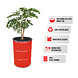 Barrelkings Barrel planter, Flowerbox 200 L Red oildrum with grout tub Barrelkings Barrel planter, Flowerbox 200 L Red oildrum with grout tub