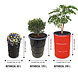 Barrelkings Barrel planter, Flowerbox 200 L Red oildrum with grout tub Barrelkings Barrel planter, Flowerbox 200 L Red oildrum with grout tub