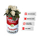 Barrelkings Campbell's Soup retro industrial 60L oil barrel planter Barrelkings Campbell's Soup retro industrial 60L oil barrel planter