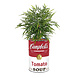 Barrelkings Campbell's Soup retro- industrieel 200 L plantenbak Barrelkings Campbell's Soup retro- industrieel 200 L plantenbak