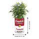 Barrelkings Campbell's Soup retro- industrieel 200 L plantenbak Barrelkings Campbell's Soup retro- industrieel 200 L plantenbak
