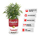 Barrelkings Campbell's Soup retro- industrieel 200 L plantenbak Barrelkings Campbell's Soup retro- industrieel 200 L plantenbak